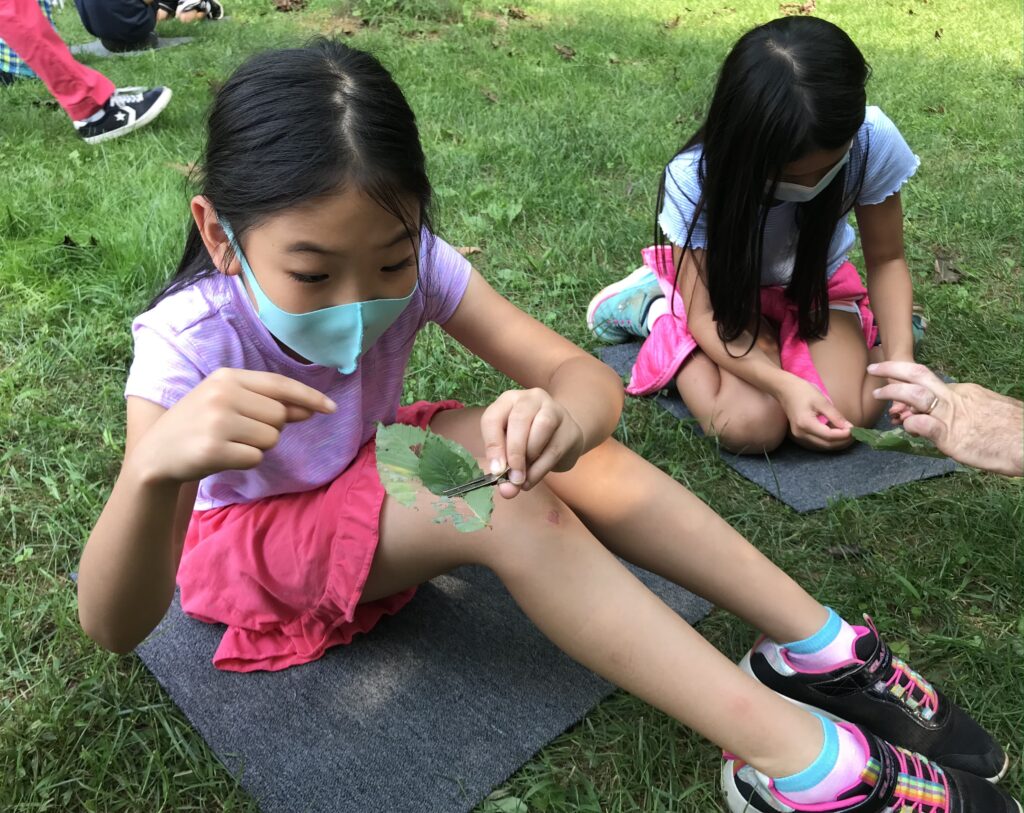Third graders at Fallsmead Elementary engaged in a lesson on local caterpillars and thier adaptations and diversity; brought to them by scientists from GW and Georgetown.